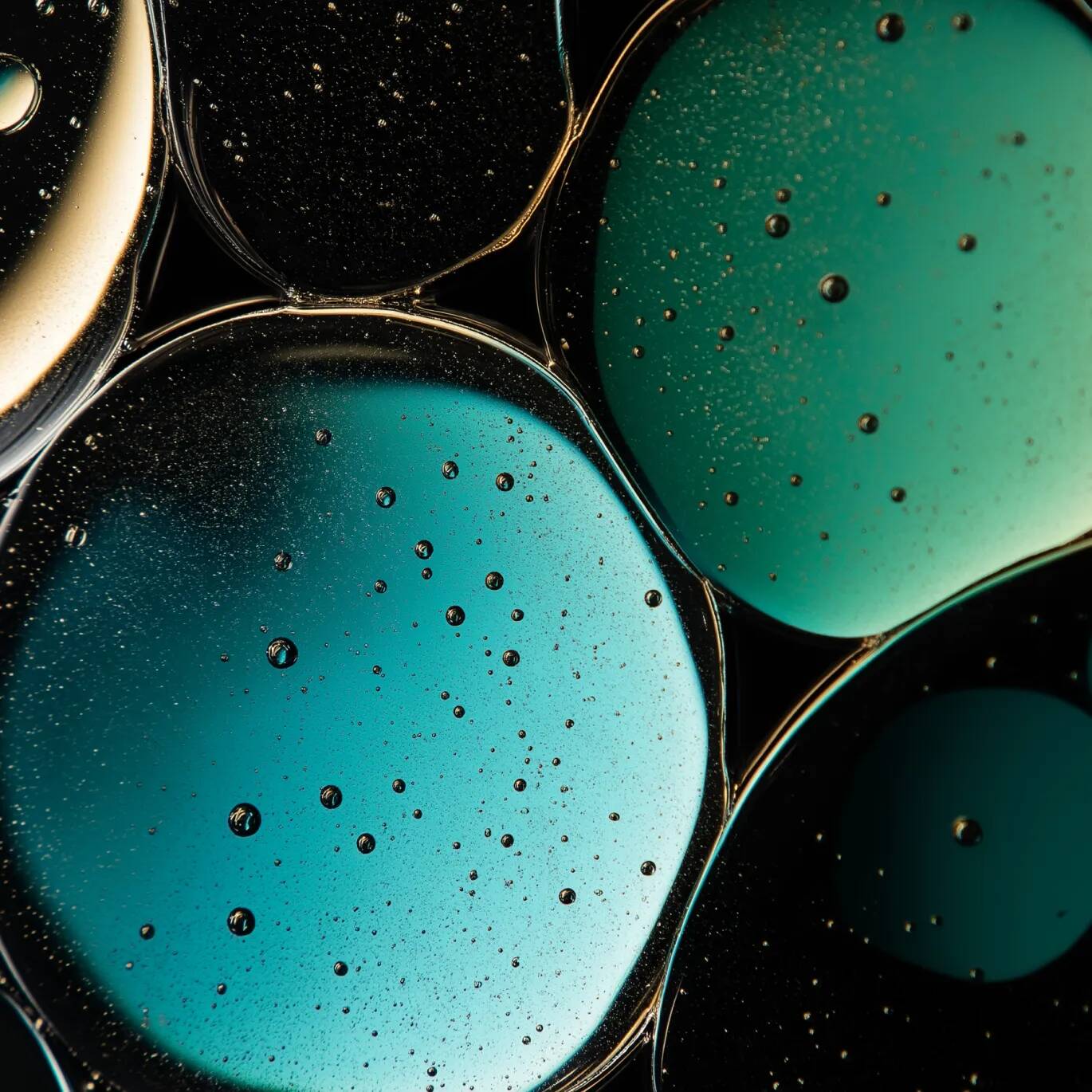 Formation - Normaliser la pression artérielle avec une approche innovante, globale et naturelle