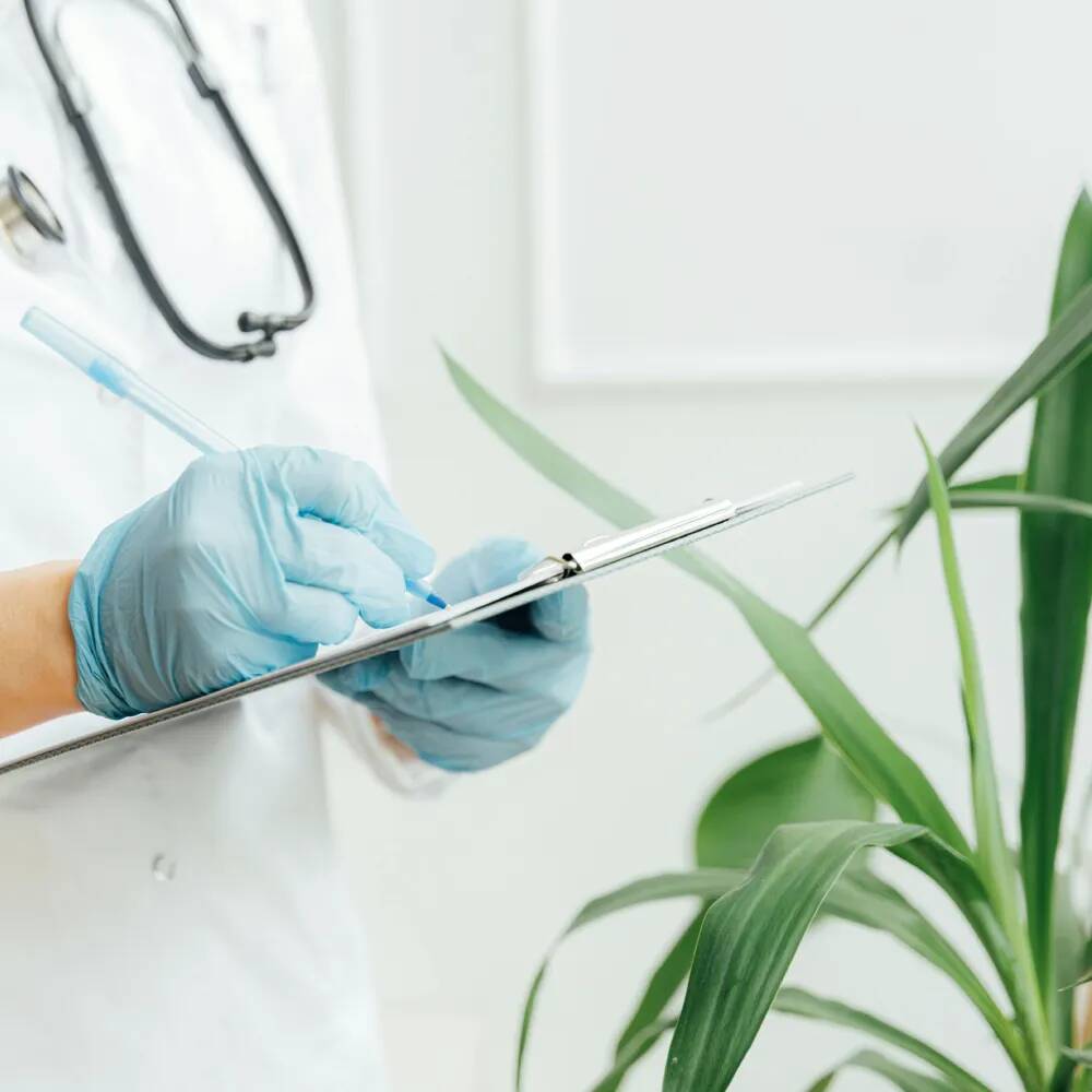 Cholestérol LDL : qu\'est-ce que le « mauvais » cholestérol ?