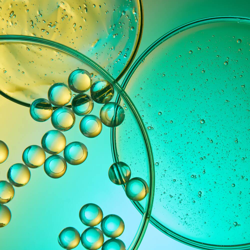 Quel magnésium choisir ?  