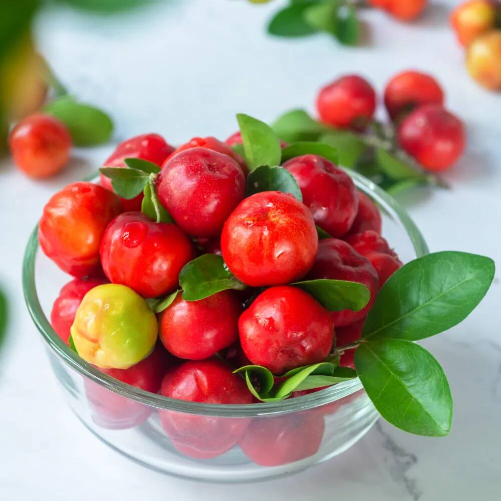 L\'acérola : les bienfaits d\'un fruit concentré en vitamine C