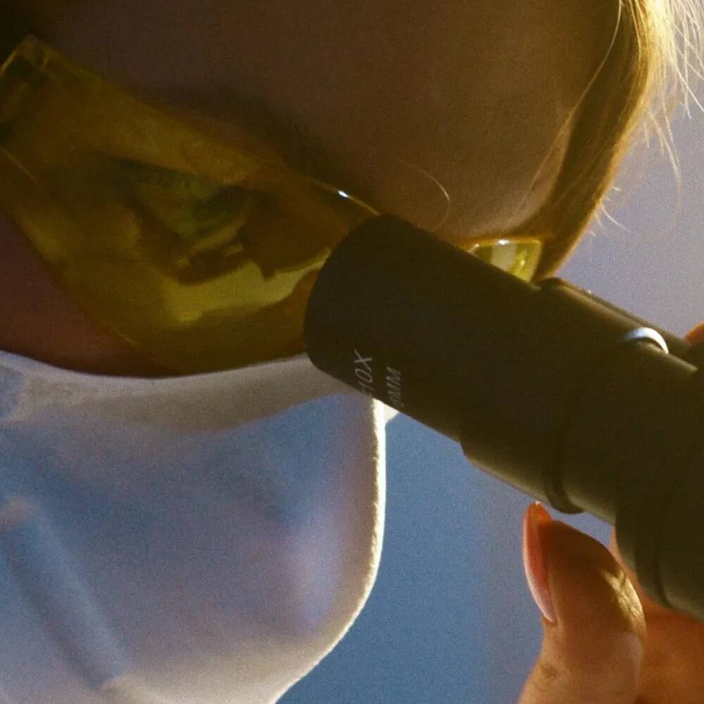 Quel est le taux de cholestérol LDL à ne pas dépasser ?