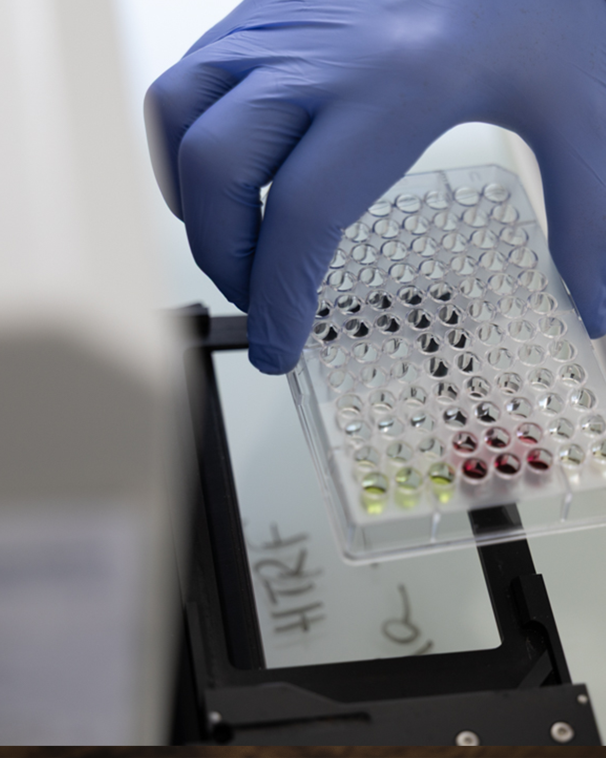 Santé métabolique et cardiovasculaire 