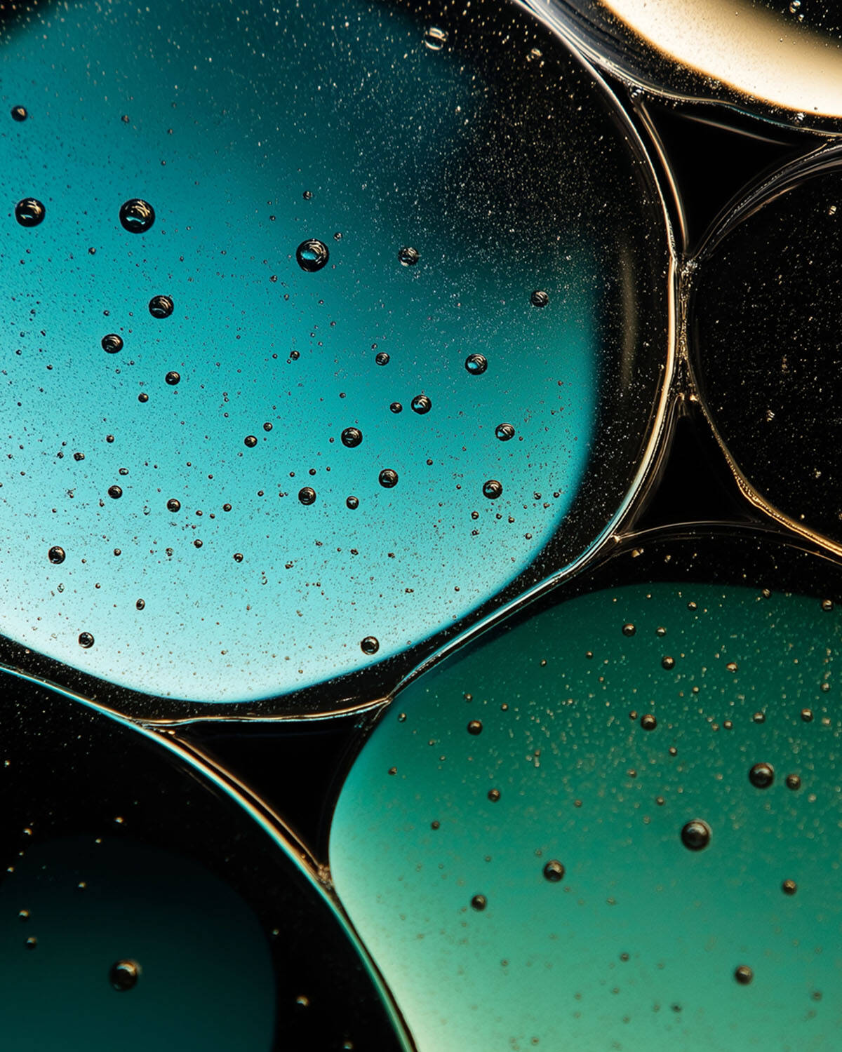 L’expertise scientifique au service de la prévention